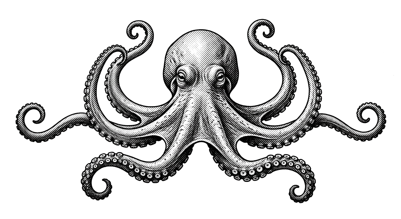 Octopus organizing European business data